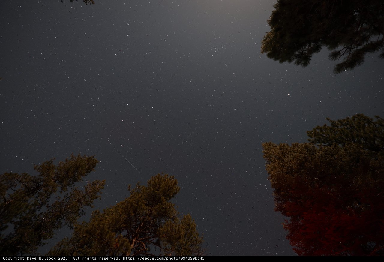 Meteor Streak Over Pine Forest Night Sky