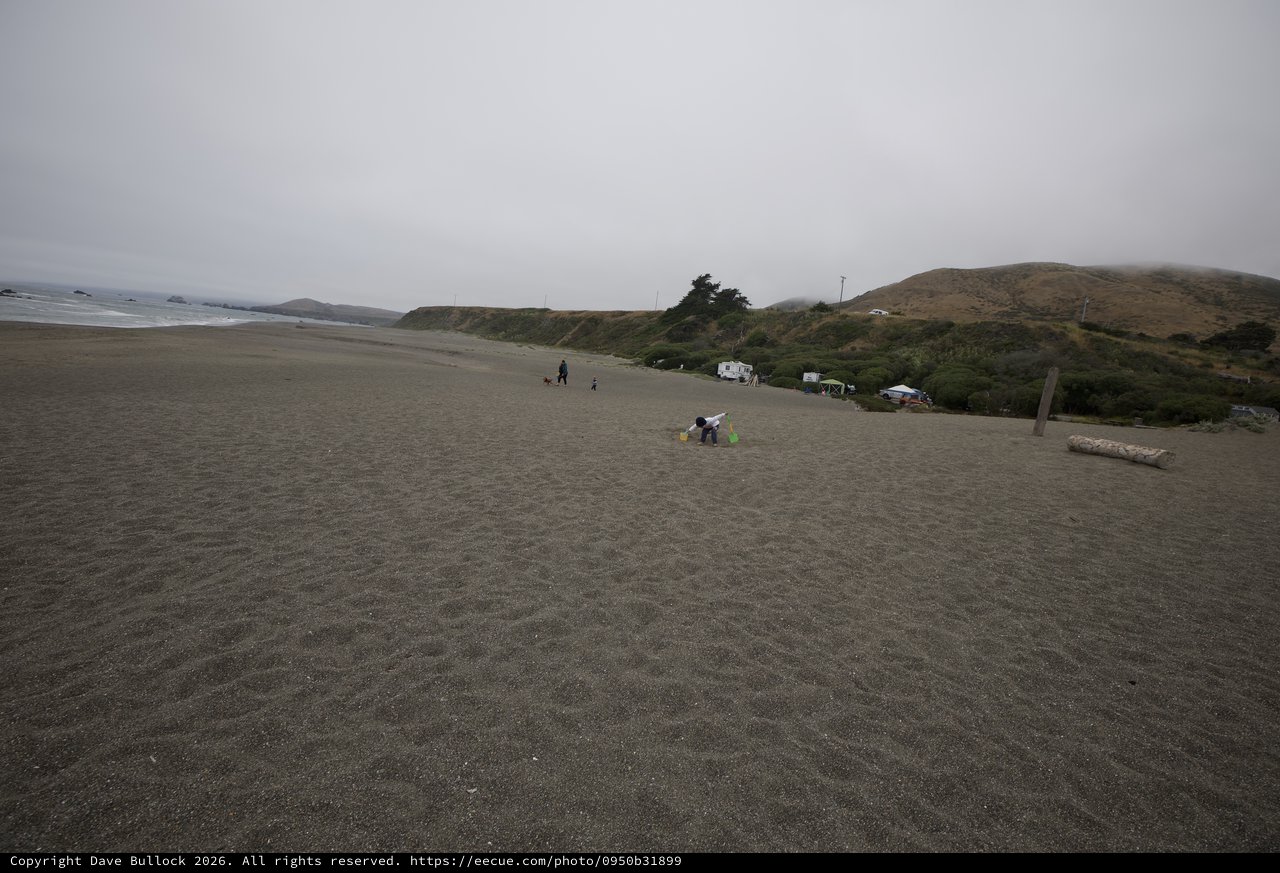Foggy Northern California Beach on Father's Day