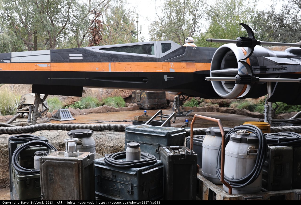 The Lone X-wing
