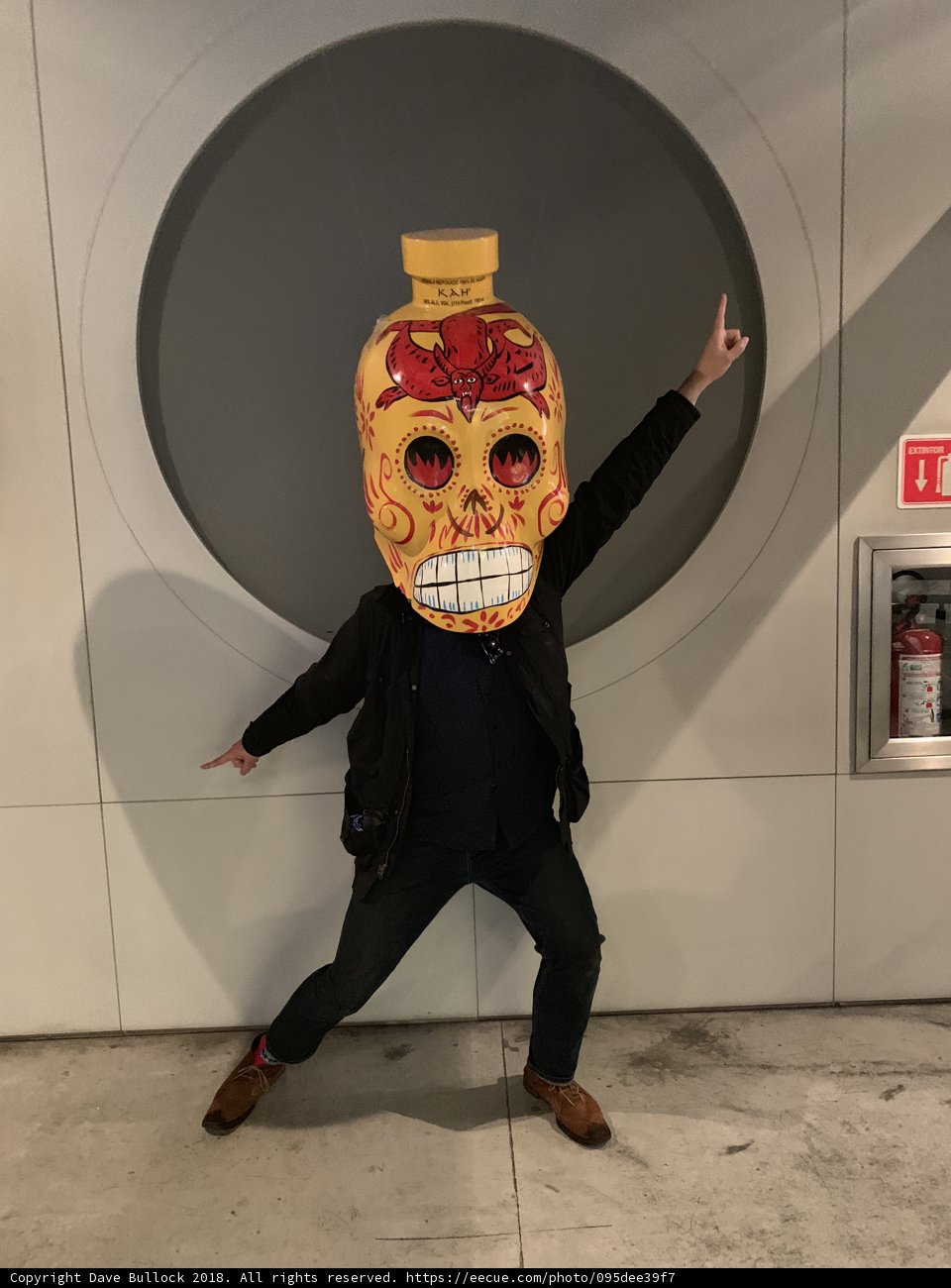 The sugar skull man