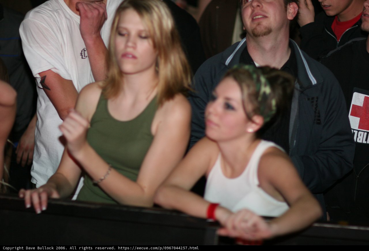 Bass Rushers in Concert