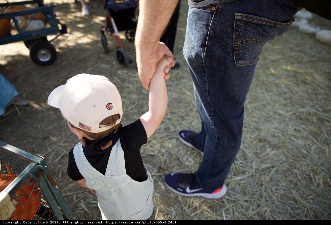 Hand-in-Hand Harvesting at the Pumpkin Patch