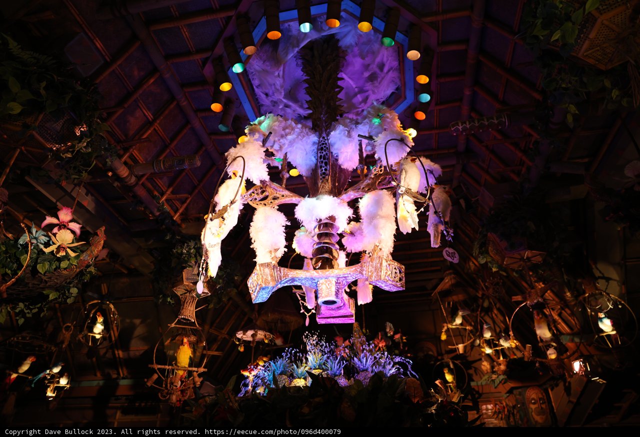 Vibrant Chandelier Lighting