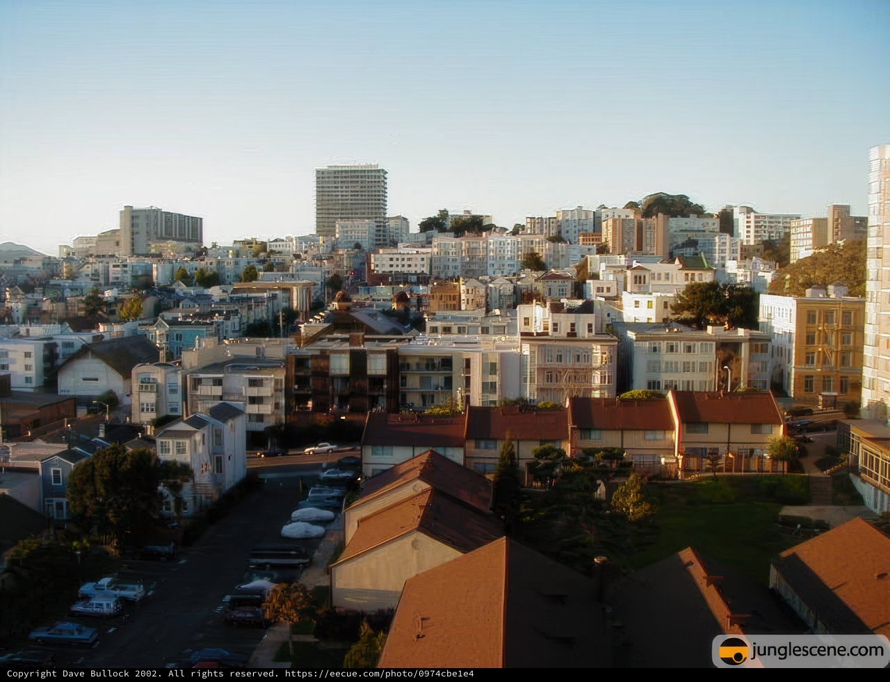 View of San Francisco Skyline from atop a Hill