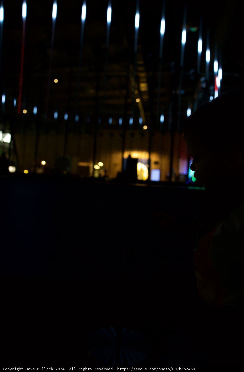 Illuminated Interlude