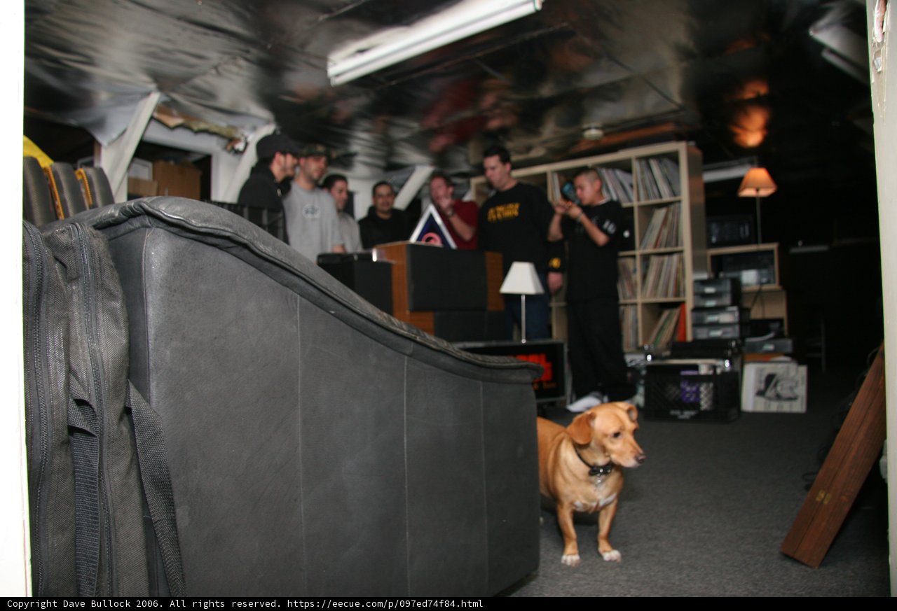 Canine Companion