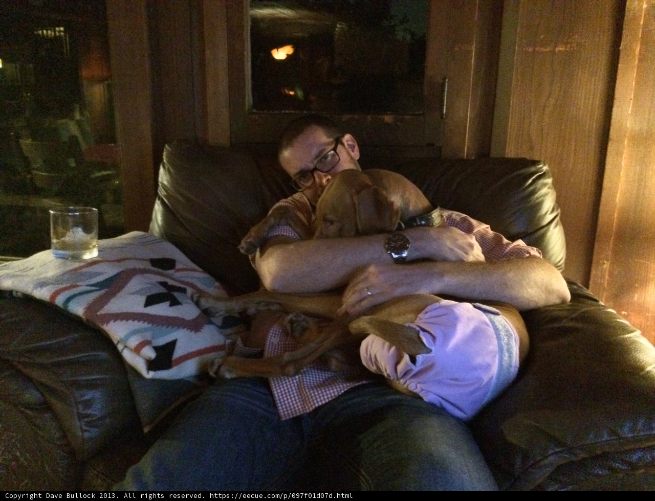 Man and Dog Relaxing on the Couch