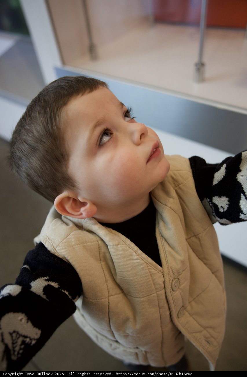 Curious Eyes at the Academy
