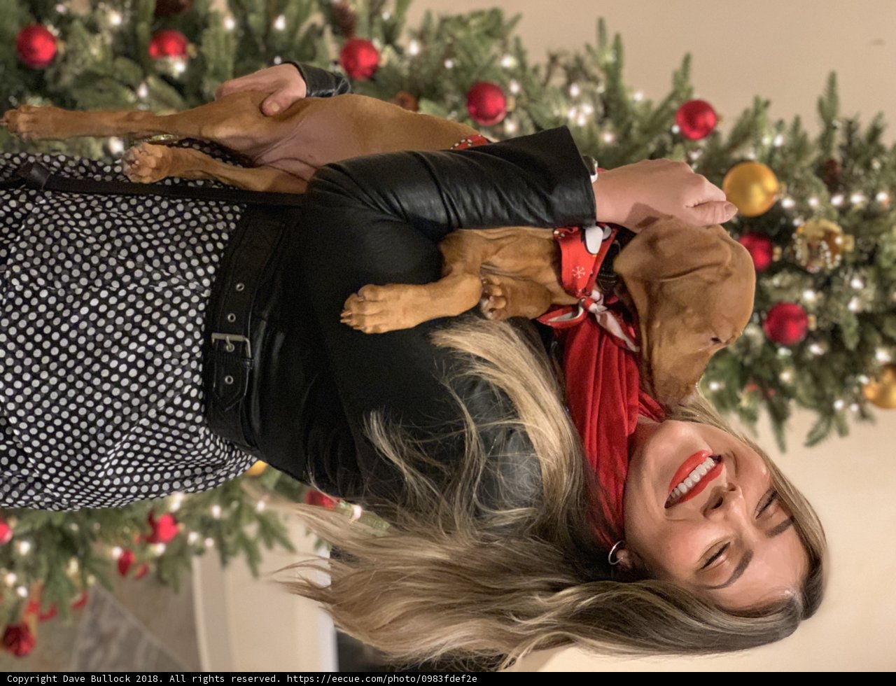 Christmas Pals