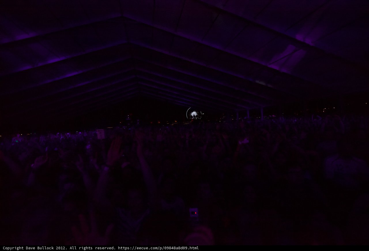 Purple Haze at Coachella