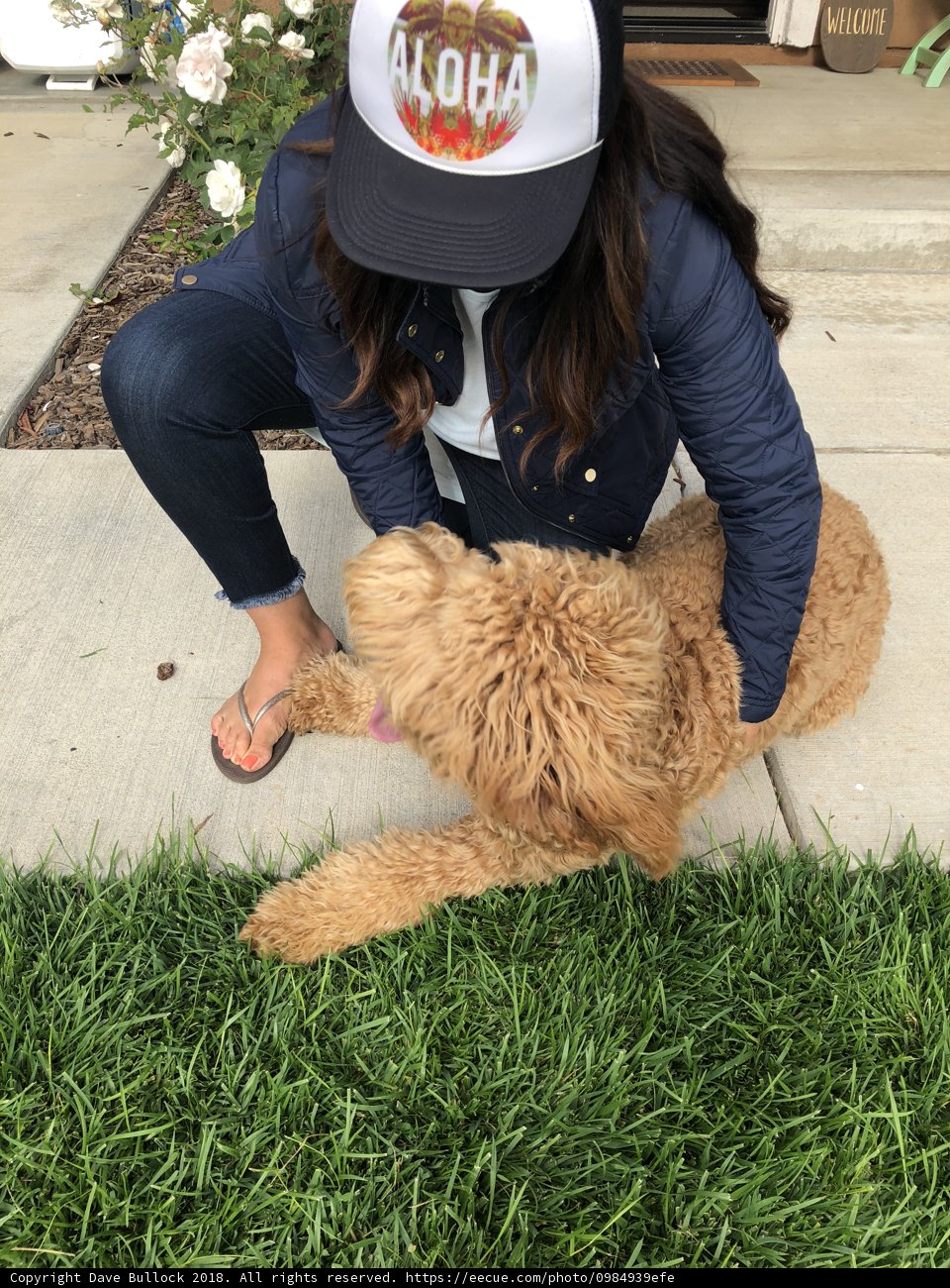 Bonding with Man's Best Friend