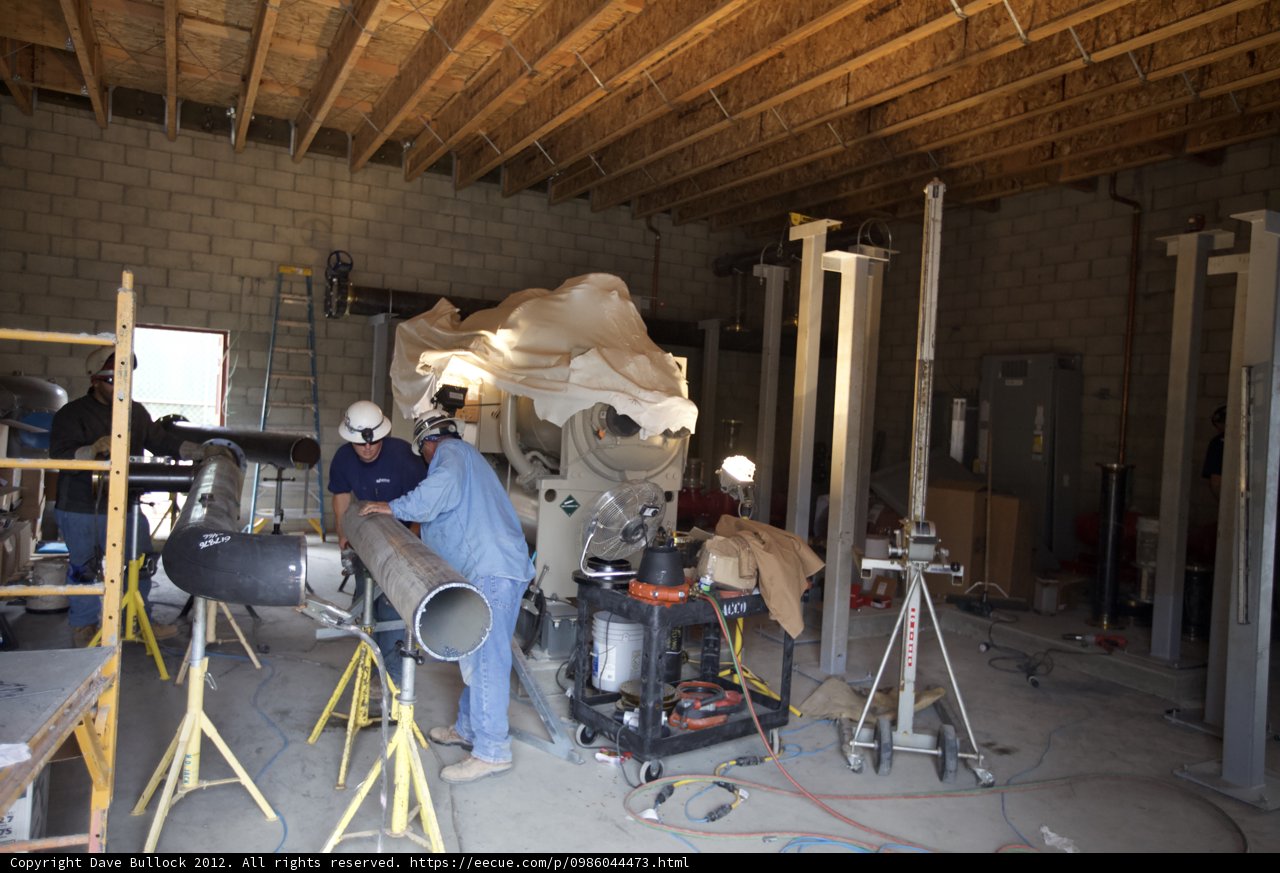 Working on the Temple Coffer Borer