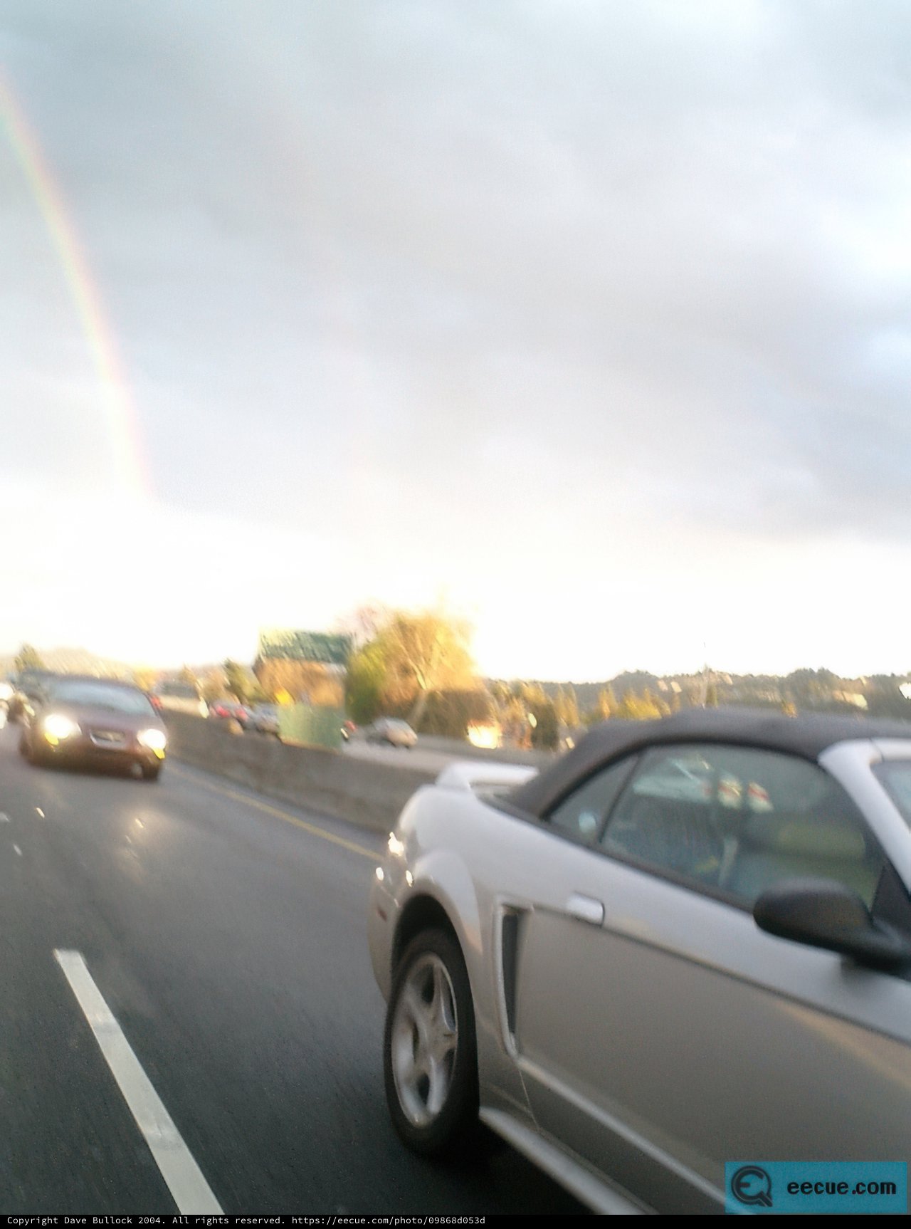 Rainbow Cruiser