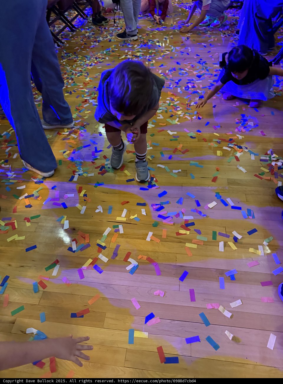 Confetti Chaos