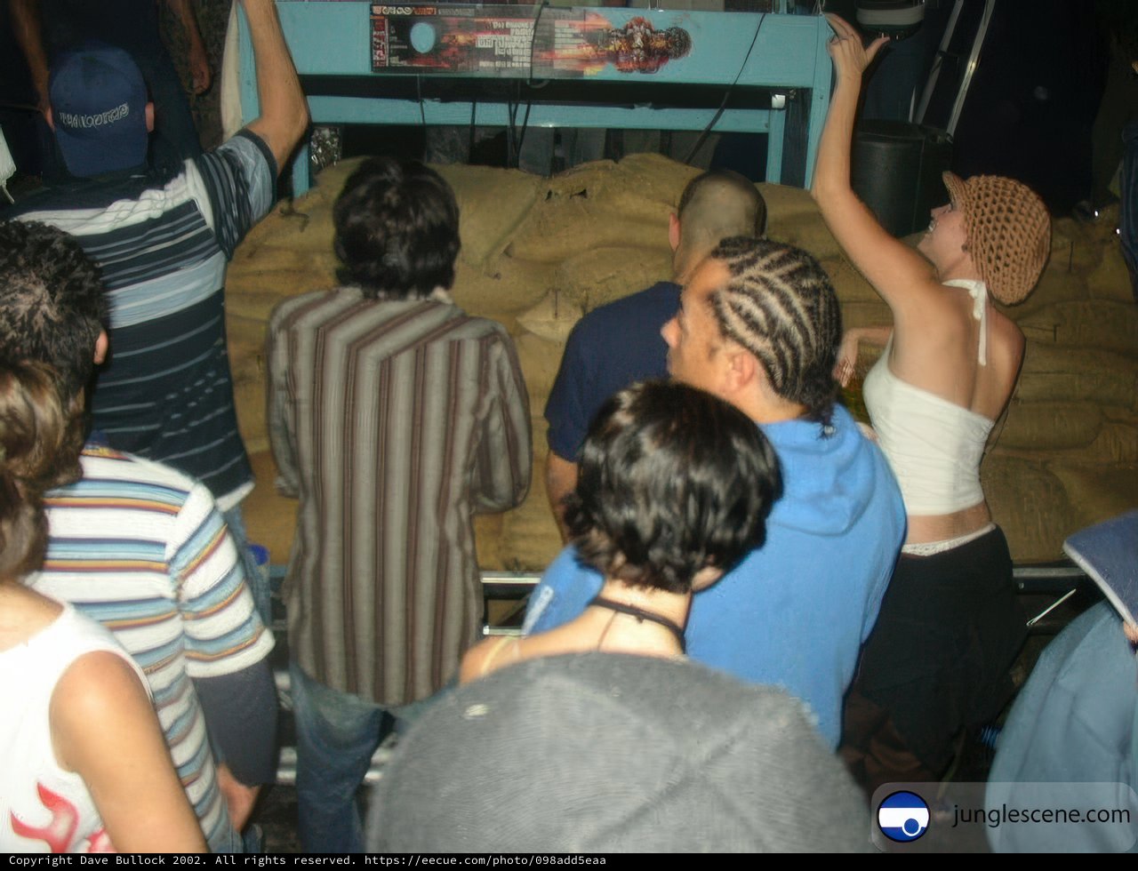The Night Club Crowd
