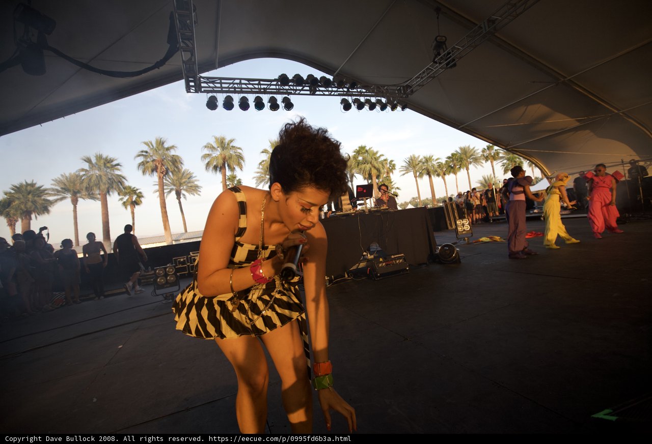 Zebra Queen