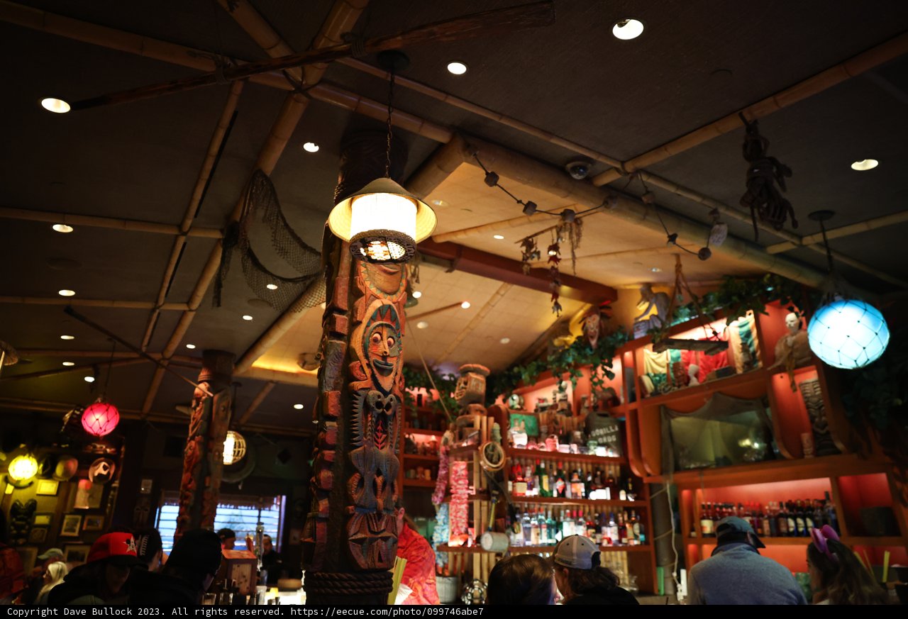 Urban Jungle at the Tiki Bar