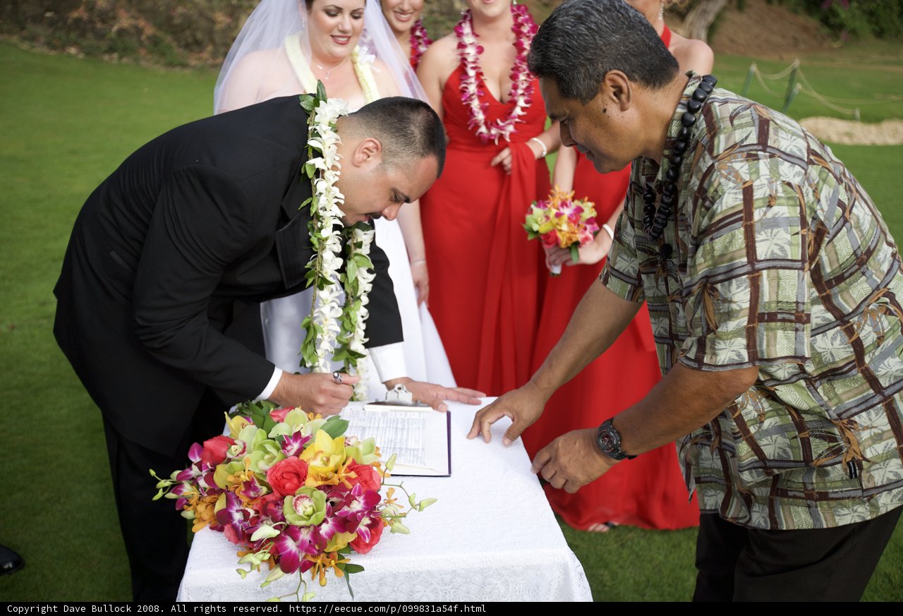 Aloha Lovebirds Tie the Knot