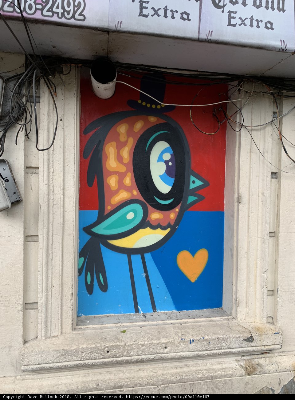 Vibrant Bird Mural on City Building