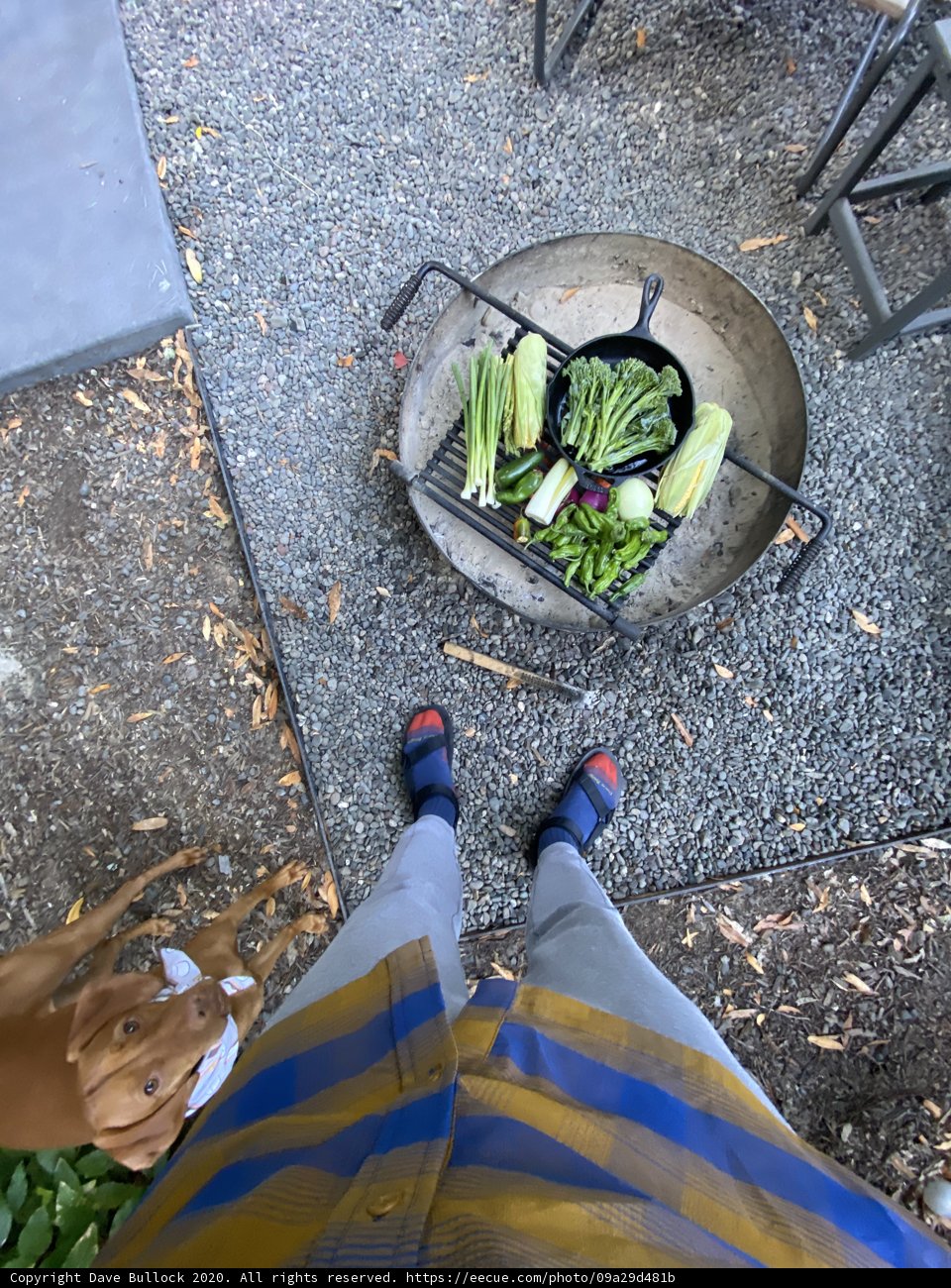 Grilling Fresh Vegetables on the Patio