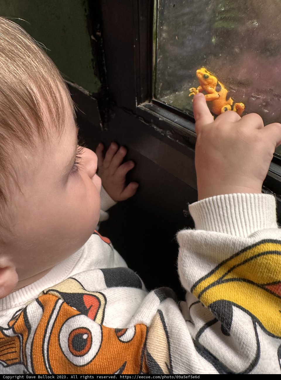Awe & Wonder: Tiny Discoveries