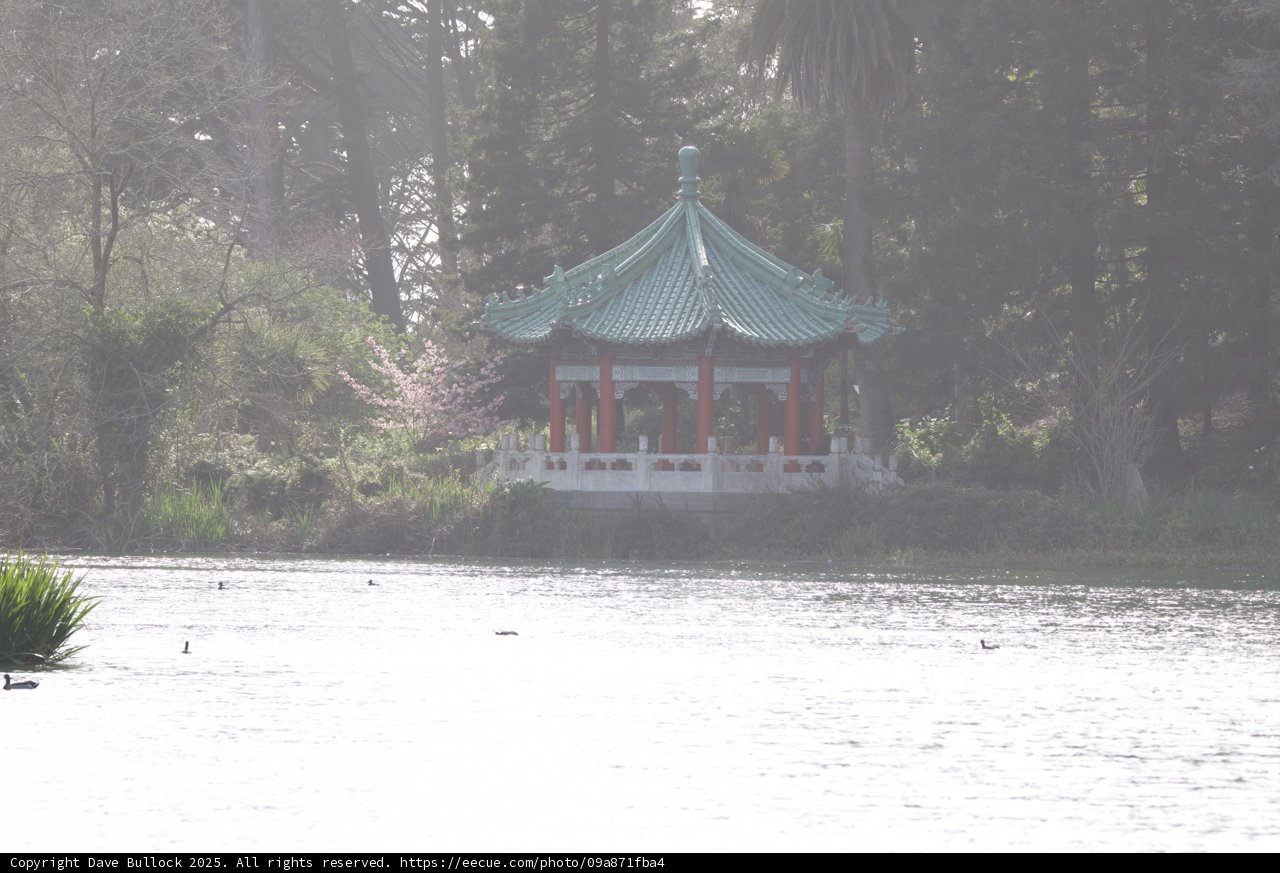 Serenity by the Waterside
