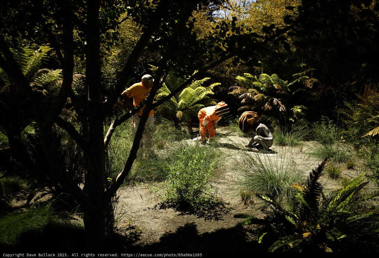 Gardeners at Work at the De Young Museum, 2023