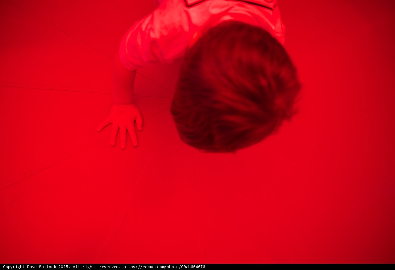 Red Maze of Wonder
