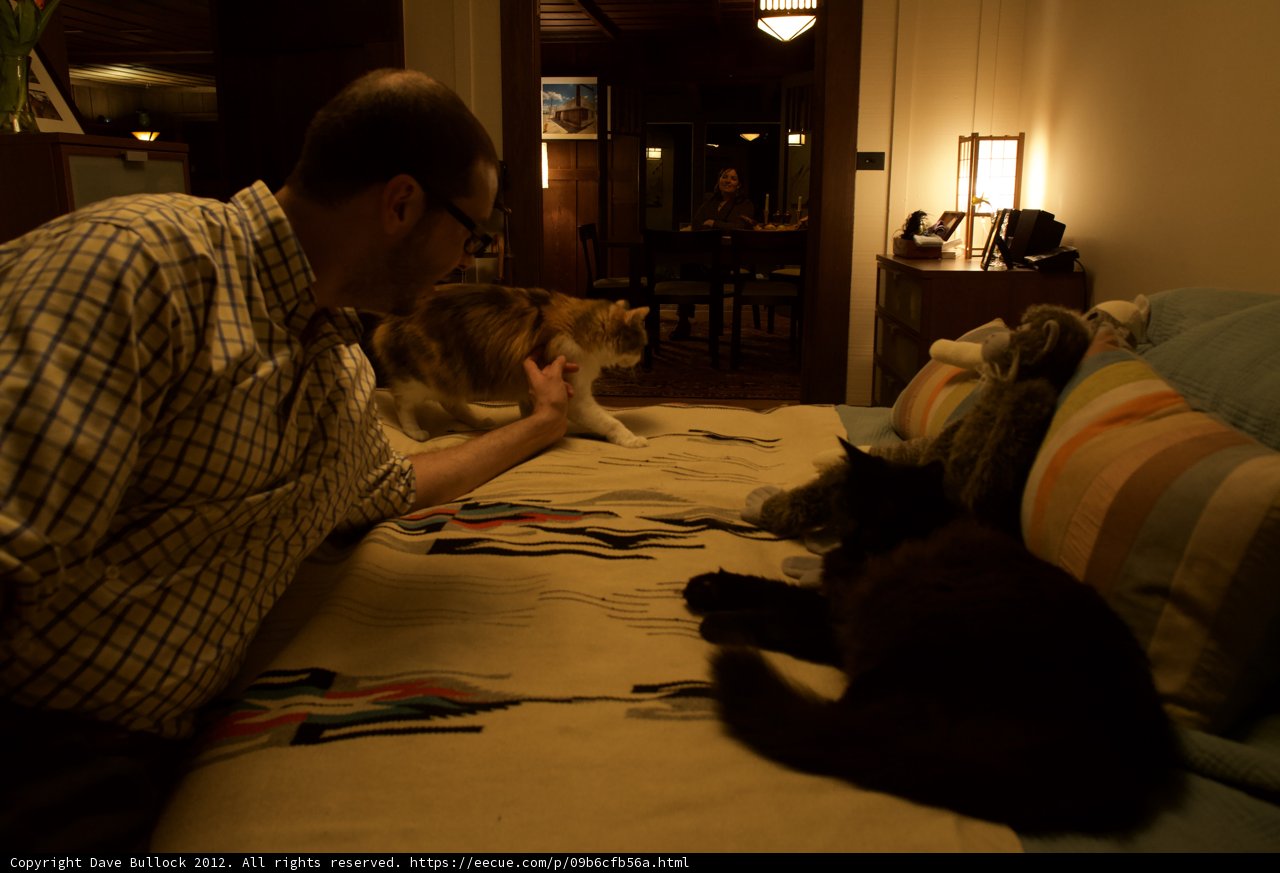 A Cozy Night In
