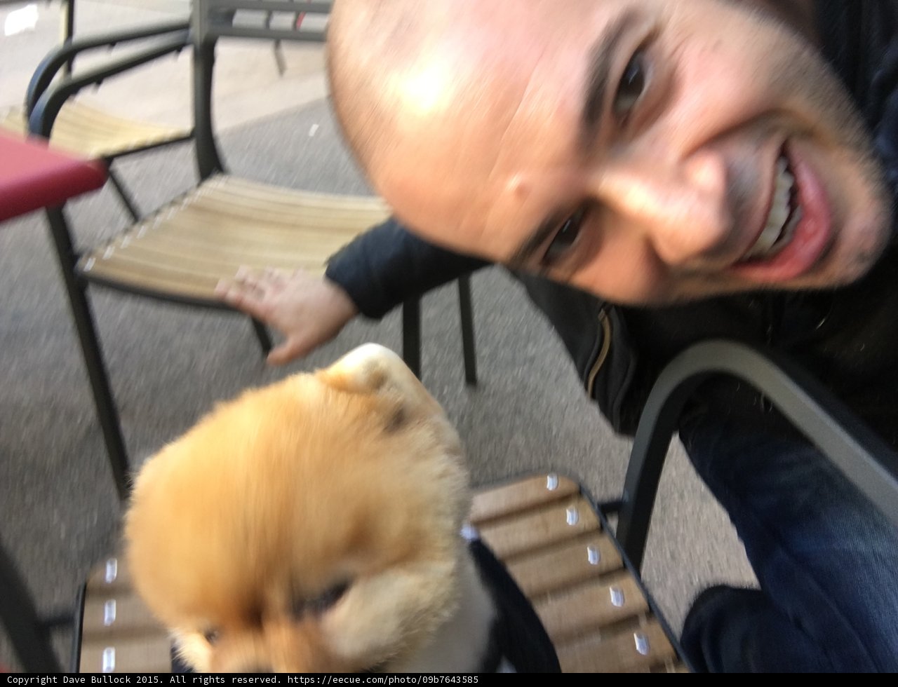 Jiff On Chair