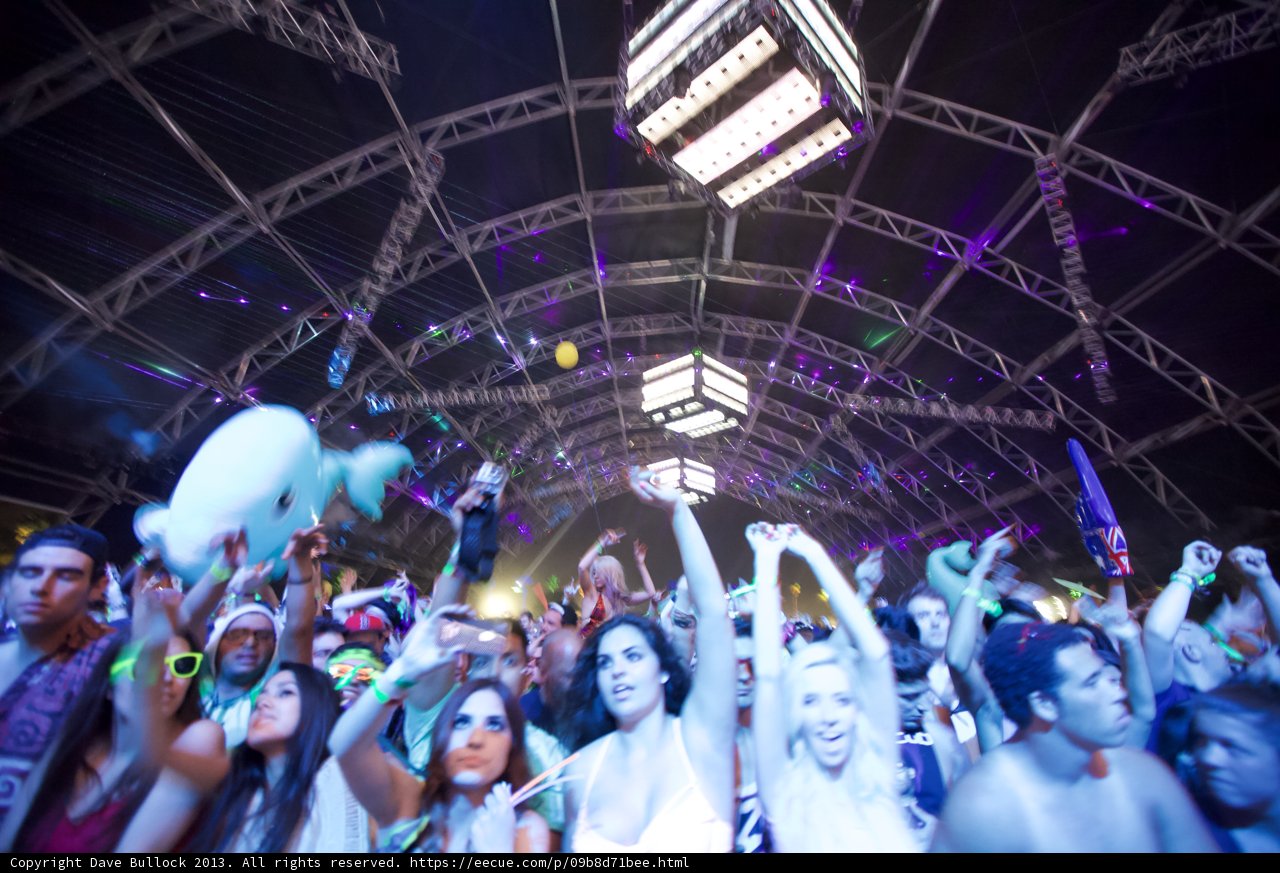 Coachella Nights