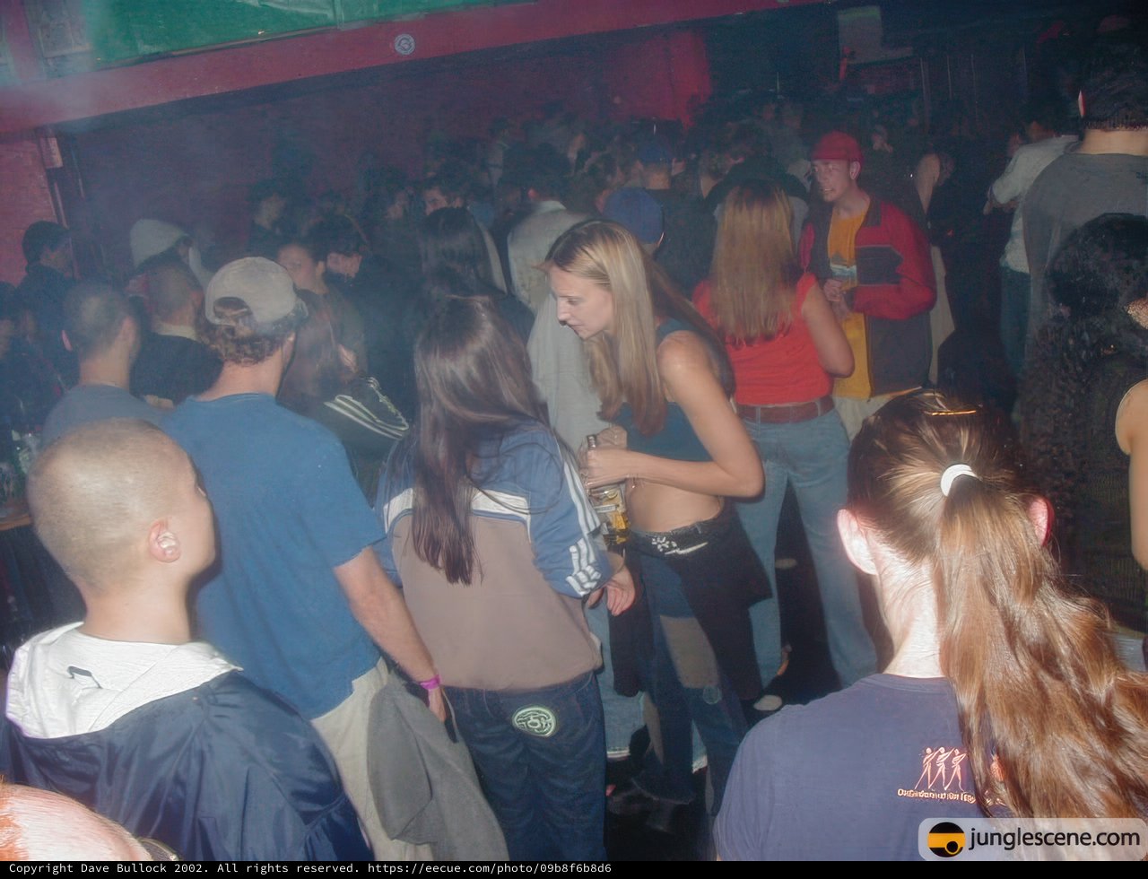 Nightclub Crowd