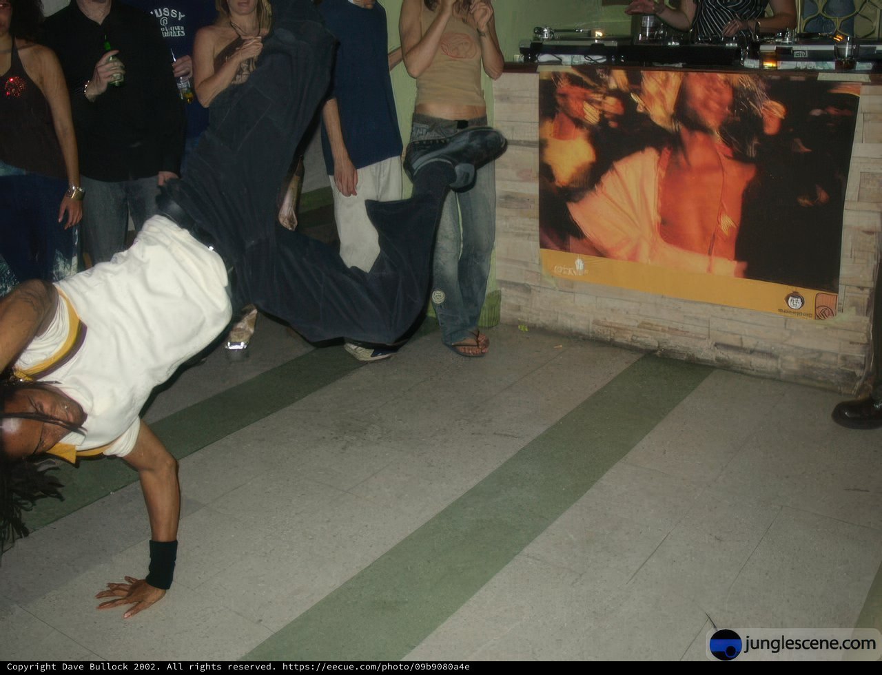 Skateboard Handstand