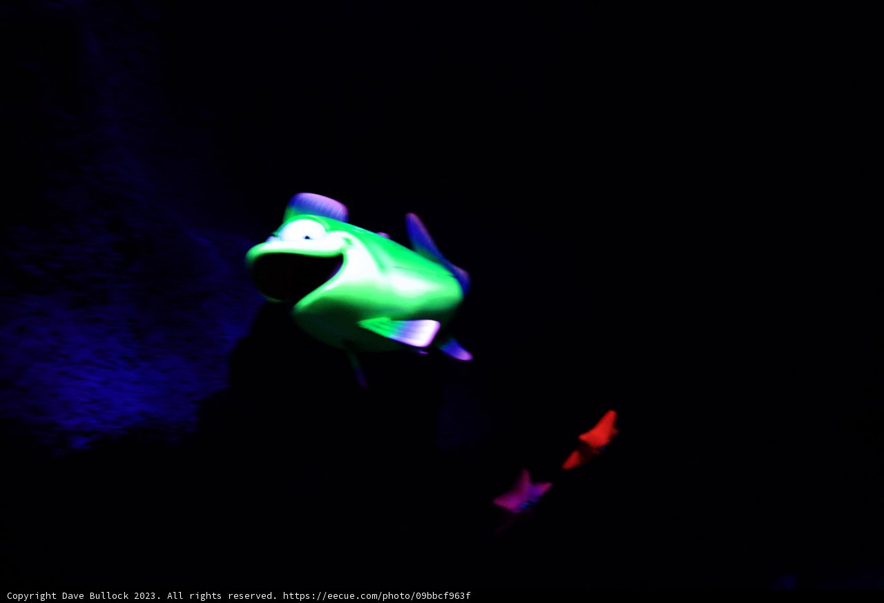 A Magical Undersea Adventure