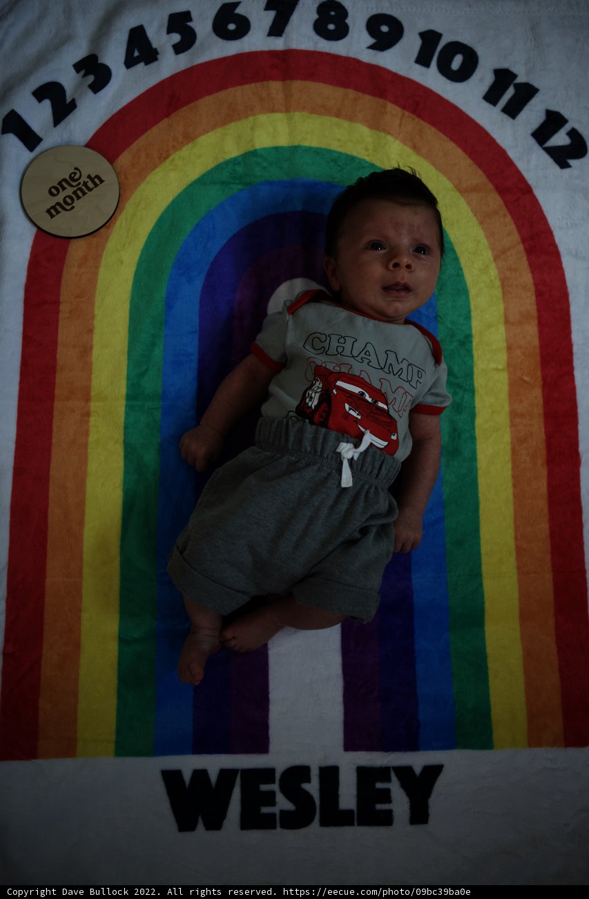 Rainbow Dreams