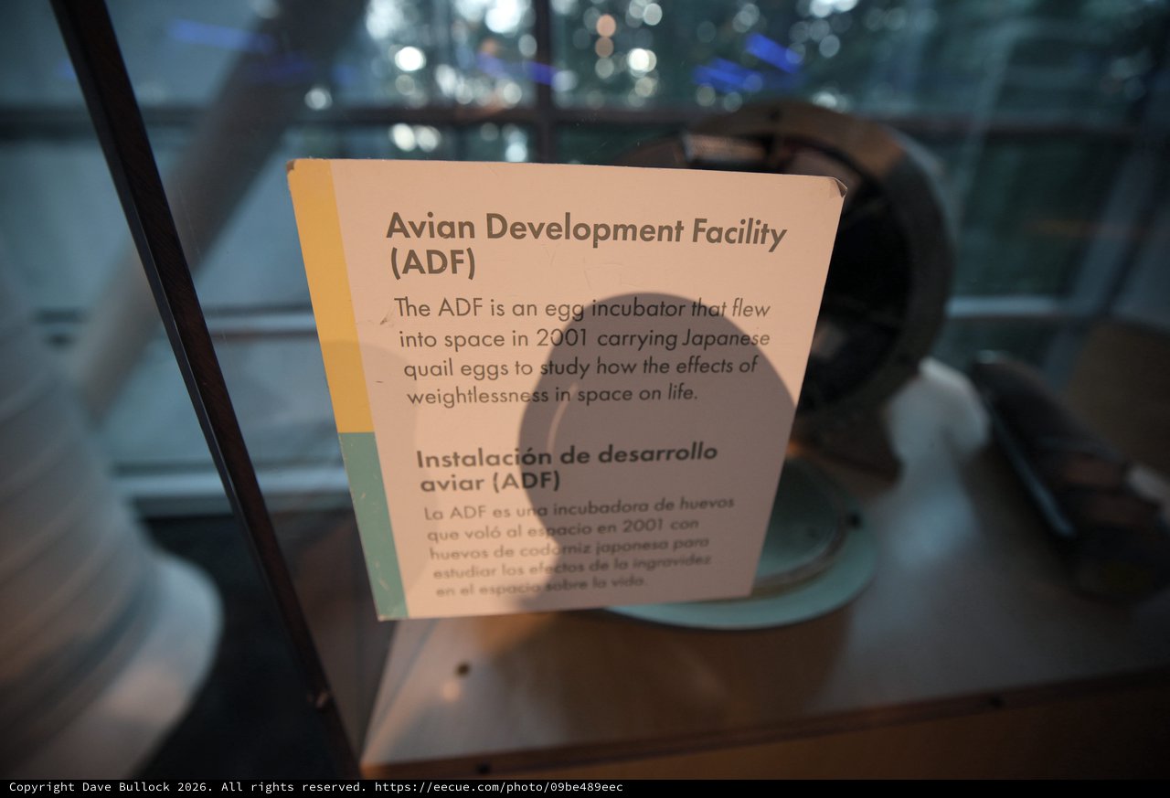 Avian Development Facility Exhibit at Space Museum