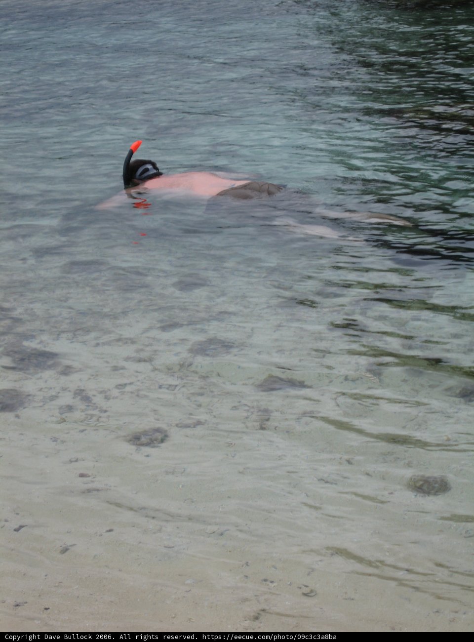 Submerged in Serenity
