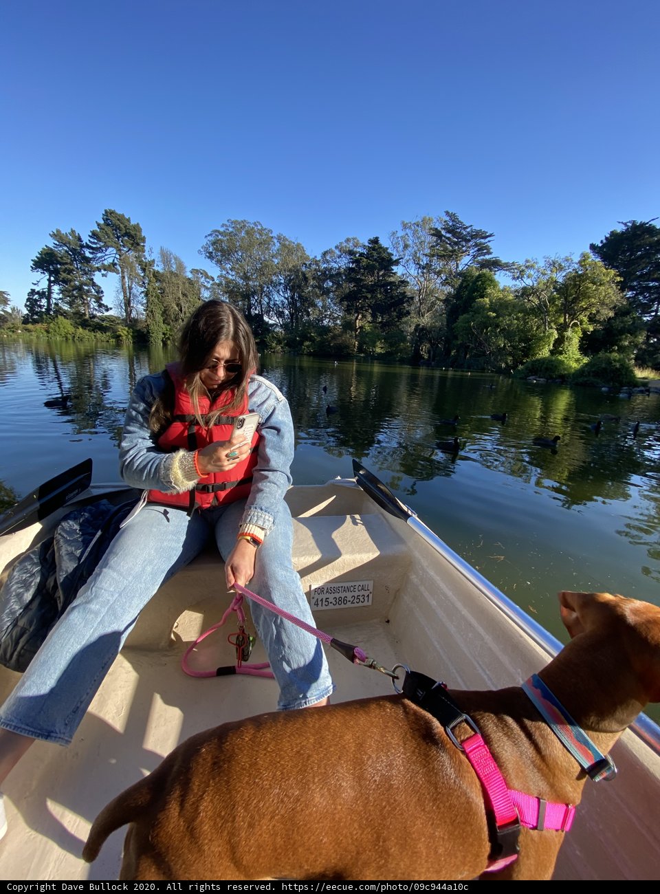 Woman and her Dog Enjoying a Leisurely Canoe Ride on the Lake