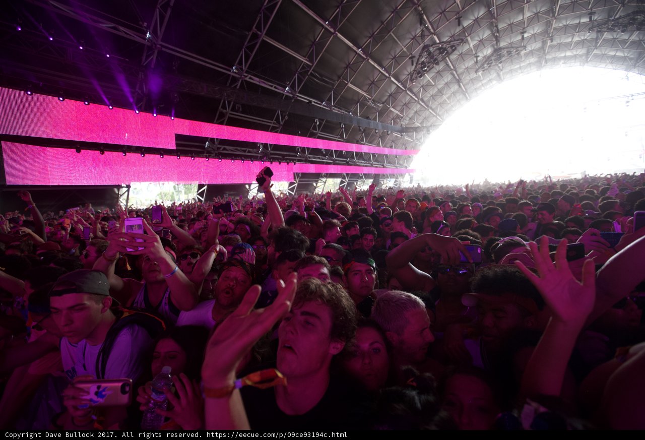 High Energy Crowd at Coachella