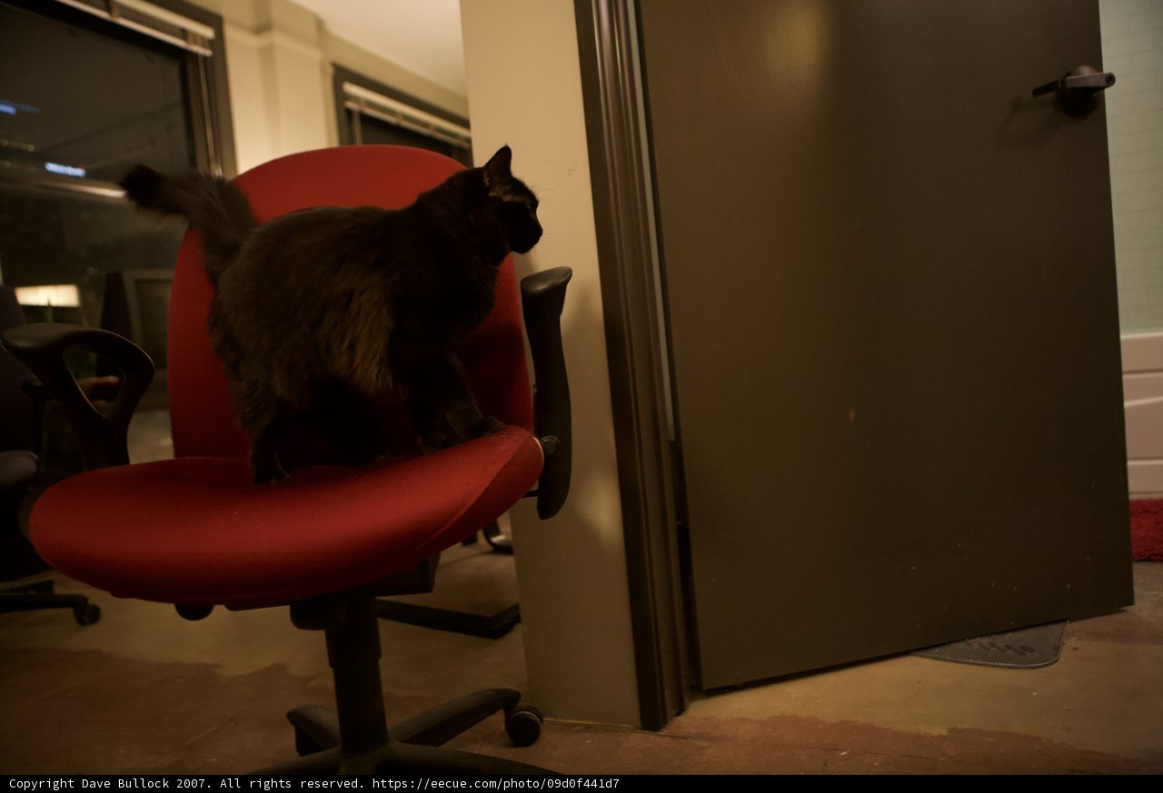 Midnight Lounging
