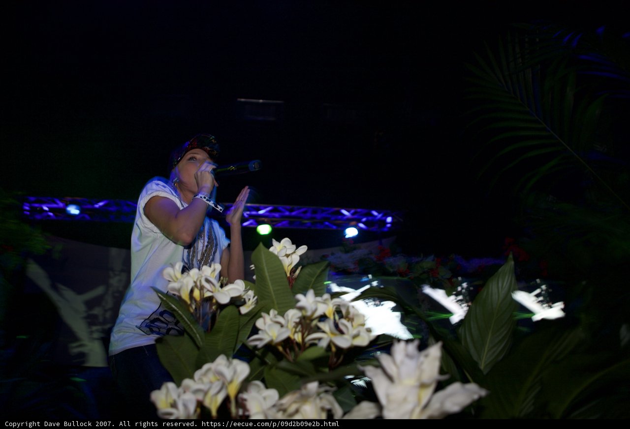 The Entertainer's Flower Bouquet