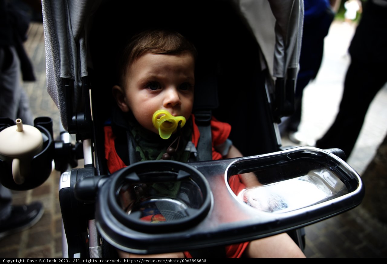 Baby's Day Out at Disneyland