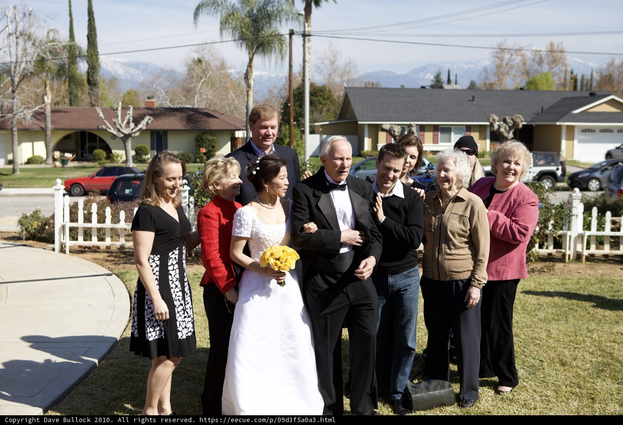 Wedding Party on Sunny Day