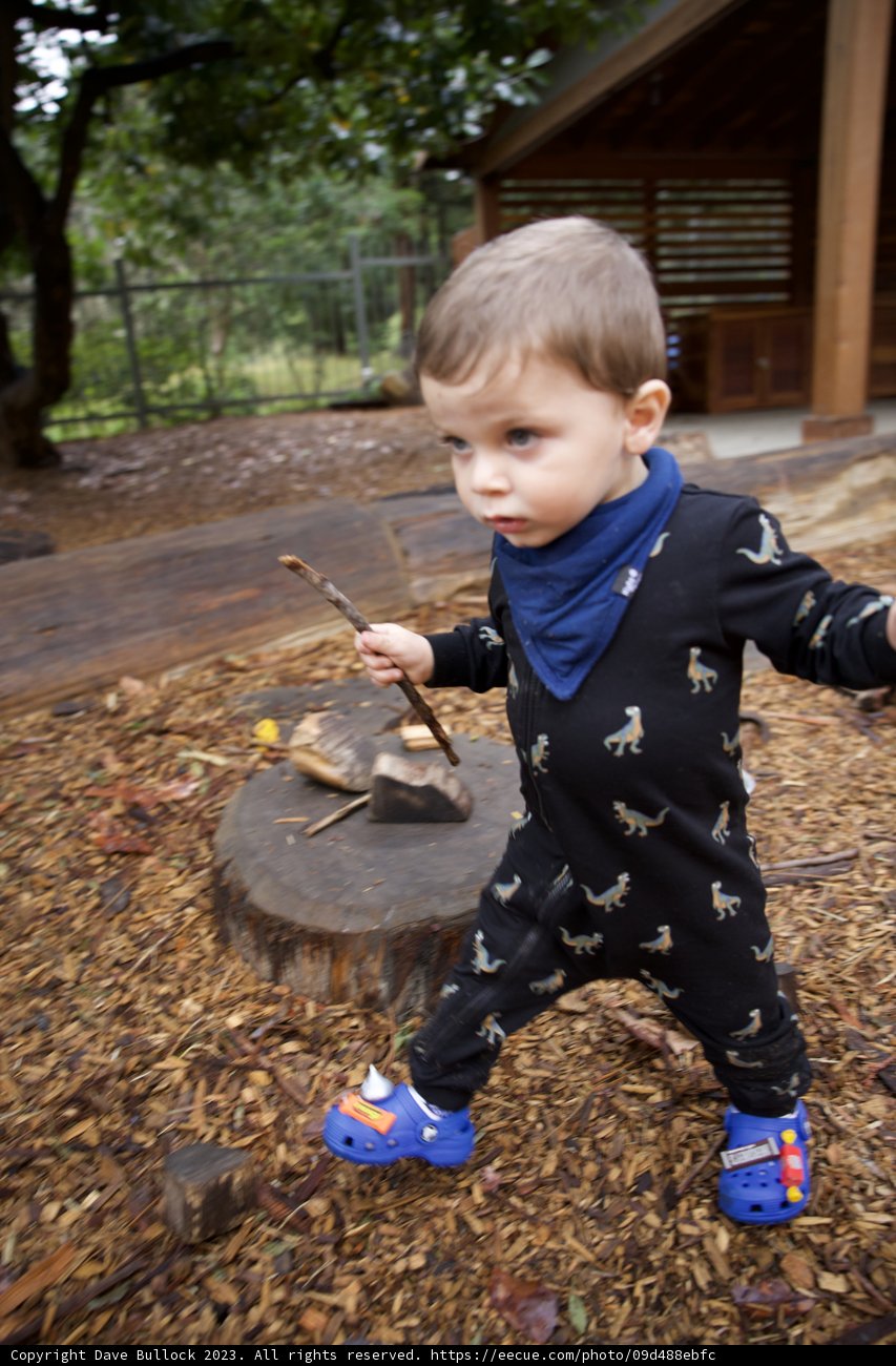 An Afternoon of Adventure in Golden Gate Park with Wesley
