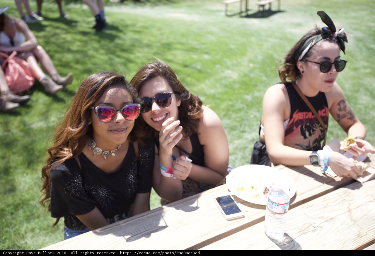 Picnic Fun with Friends