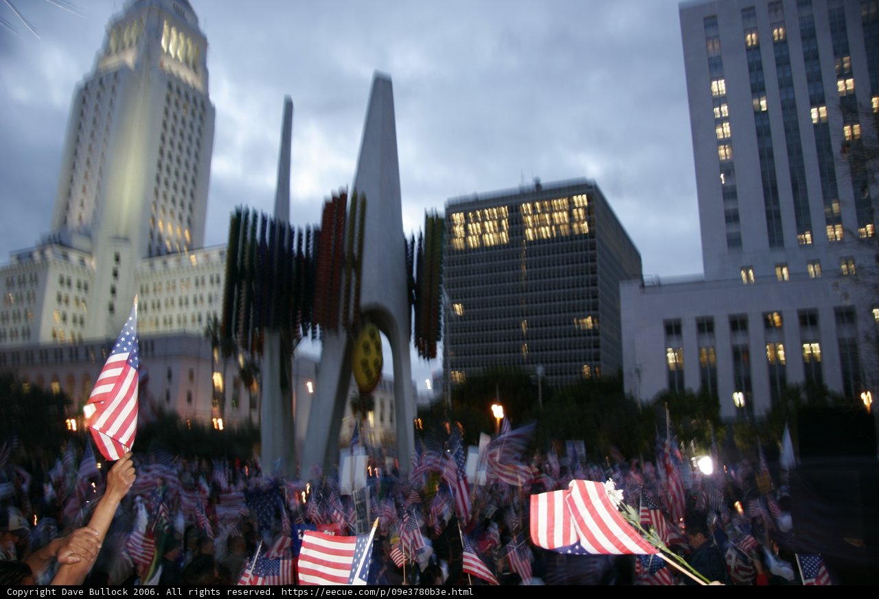 Patriotic Crowd in Metropolis