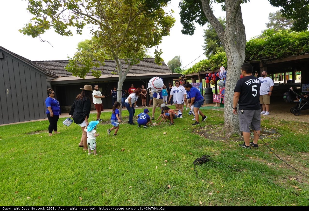 Summer Gathering - Man's Best Friend