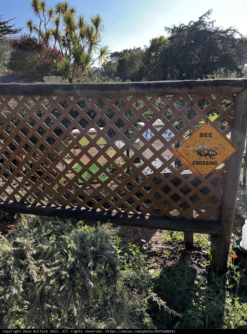 No Trespassing in the Gardens