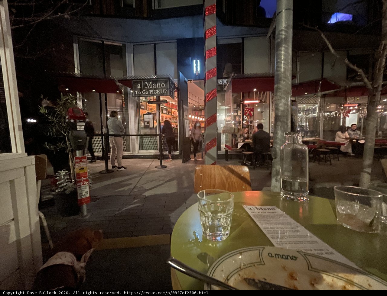 Dining with a Furry Friend