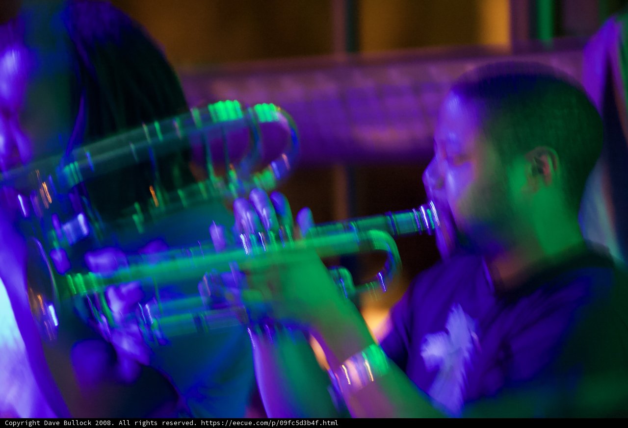 Midnight Serenade
